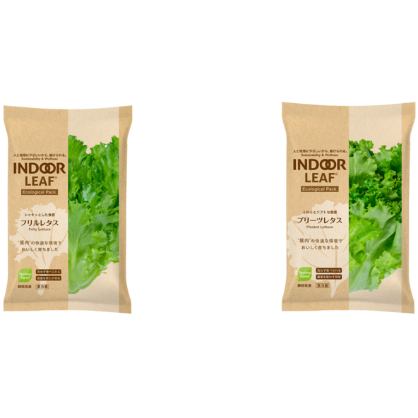 INDOOR REAF